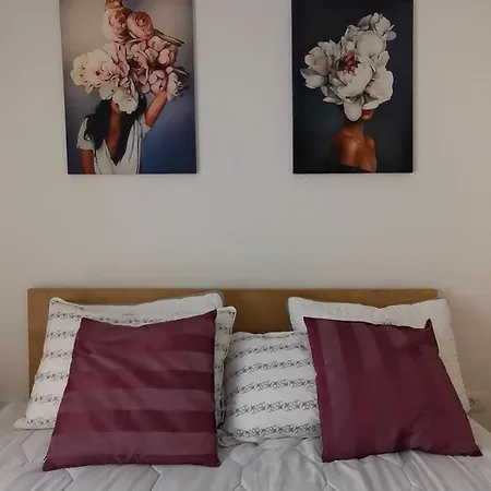 Taris Vrnjačka Banja