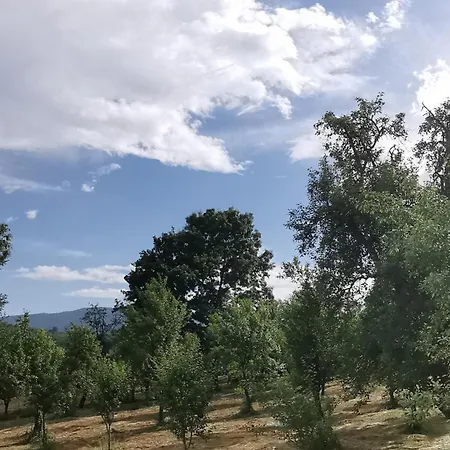 Taris Appartamento Vrnjačka Banja