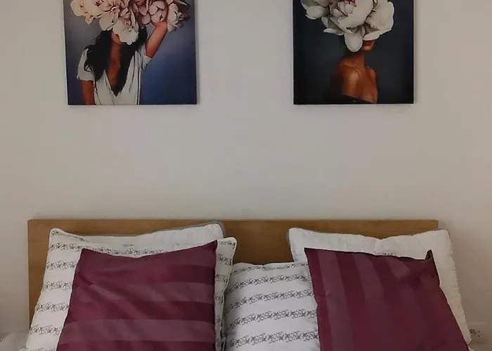 Taris Vrnjačka Banja