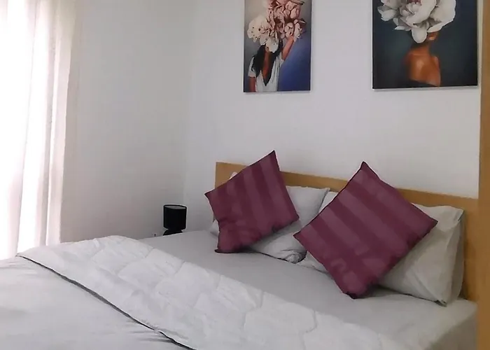 Taris Vrnjačka Banja